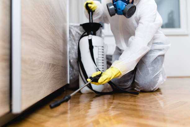 Best Flea Control Services  in Franklin Square, NY