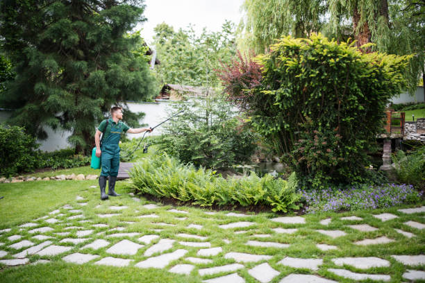 Best Wasp Removal Services  in Franklin Square, NY