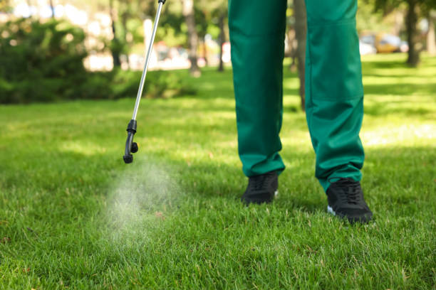 Professional Pest Control in Franklin Square, NY