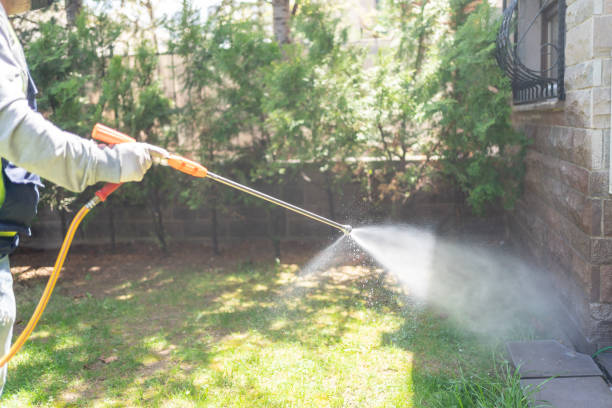 Best Insect Control  in Franklin Square, NY
