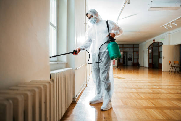 Best Bed Bug Extermination  in Franklin Square, NY